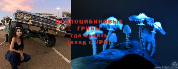 синтетический гашиш Богородицк